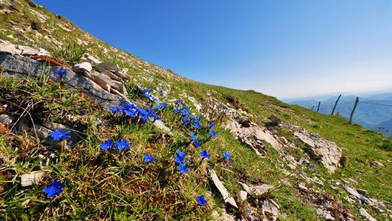 Trekking, Formaggio e Birra sul Monte Catria – Ecobnb