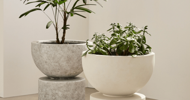 The Curator: The most aesthetic planters you can buy in Canada right now – National