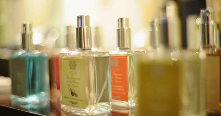 Police charge 4 people after fragrances stolen across Hamilton – Hamilton
