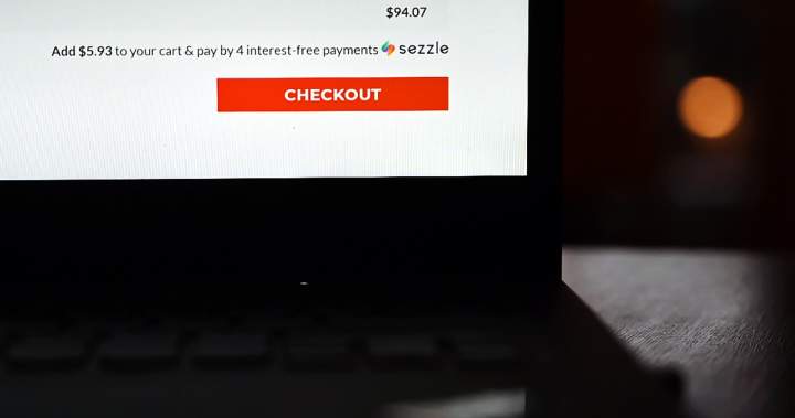 Illinois has a Buy Now, Pay Later law. Should Canada crack down too? – National